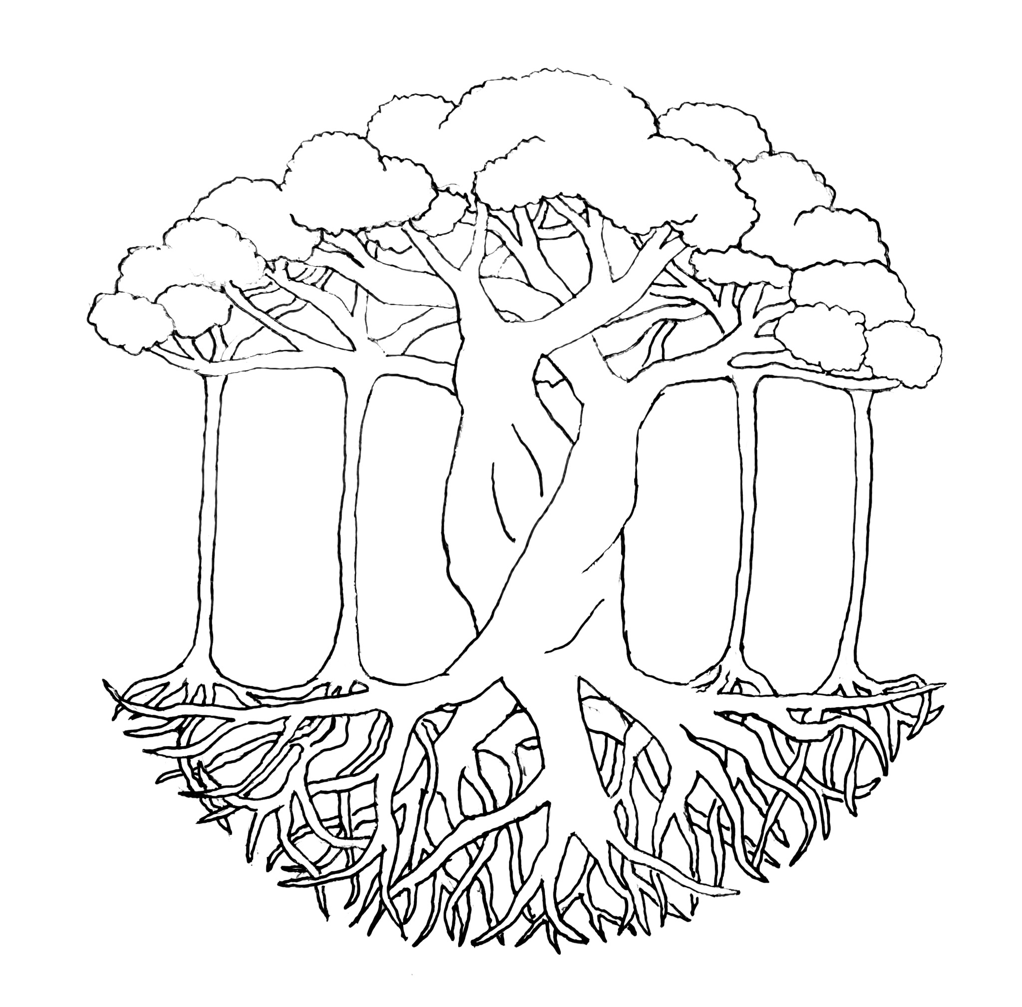 Outline of a hand drawn banyan tree in black ink.